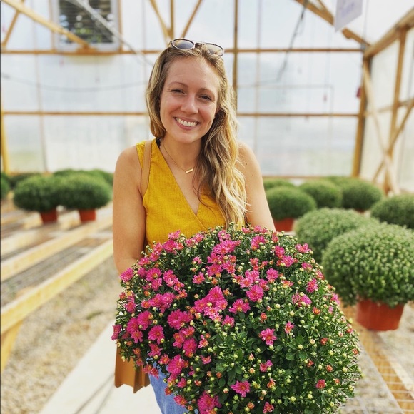 Meet your Posher, Abbey - Picture 1 of 1